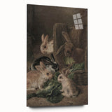 Vintage Animal Art - Rabbits Eating Cabbage Antique Wildlife Print