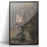 Vintage Animal Art - Rabbits Eating Cabbage Antique Wildlife Print