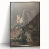 Vintage Animal Art - Rabbits Eating Cabbage Antique Wildlife Print