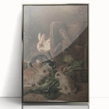 Vintage Animal Art - Rabbits Eating Cabbage Antique Wildlife Print