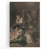 Vintage Animal Art - Rabbits Eating Cabbage Antique Wildlife Print