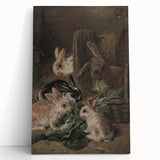 Vintage Animal Art - Rabbits Eating Cabbage Antique Wildlife Print