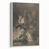 Vintage Animal Art - Rabbits Eating Cabbage Antique Wildlife Print