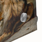 Vintage Animal Art - Majestic Lion Antique Wildlife Print