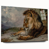 Vintage Animal Art - Majestic Lion Antique Wildlife Print