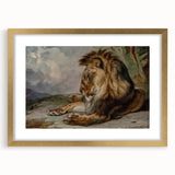 Vintage Animal Art - Majestic Lion Antique Wildlife Print