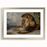 Vintage Animal Art - Majestic Lion Antique Wildlife Print