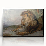 Vintage Animal Art - Majestic Lion Antique Wildlife Print