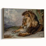 Vintage Animal Art - Majestic Lion Antique Wildlife Print