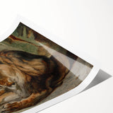 Vintage Animal Art - Majestic Lion Antique Wildlife Print