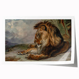 Vintage Animal Art - Majestic Lion Antique Wildlife Print