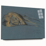 Vintage Animal Art - Resting Lion Antique Wildlife Sketch