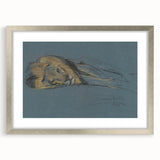 Vintage Animal Art - Resting Lion Antique Wildlife Sketch