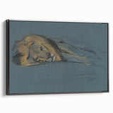 Vintage Animal Art - Resting Lion Antique Wildlife Sketch