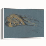 Vintage Animal Art - Resting Lion Antique Wildlife Sketch