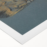 Vintage Animal Art - Resting Lion Antique Wildlife Sketch