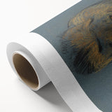 Vintage Animal Art - Resting Lion Antique Wildlife Sketch