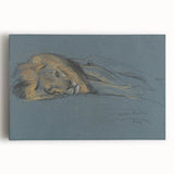 Vintage Animal Art - Resting Lion Antique Wildlife Sketch