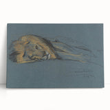 Vintage Animal Art - Resting Lion Antique Wildlife Sketch