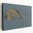 Vintage Animal Art - Resting Lion Antique Wildlife Sketch