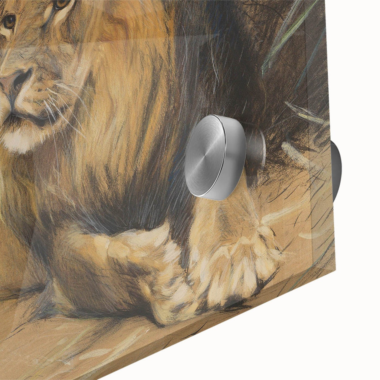 Vintage Animal Art - Resting Lion Pastel Wildlife Print