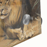 Vintage Animal Art - Resting Lion Pastel Wildlife Print