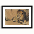 Vintage Animal Art - Resting Lion Pastel Wildlife Print