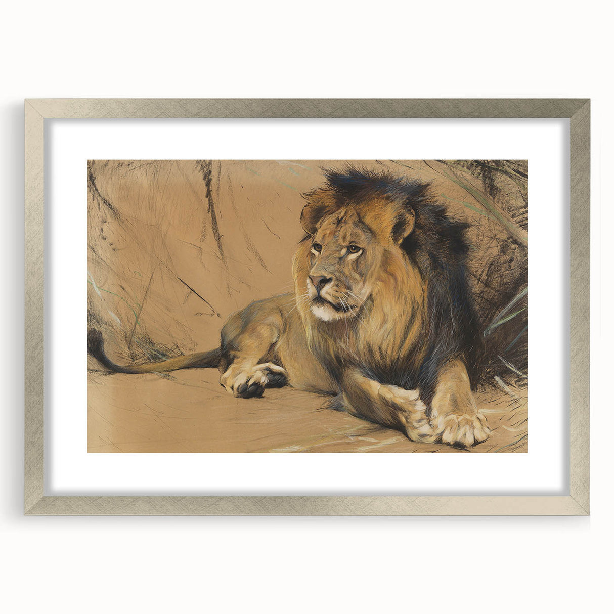 Vintage Animal Art - Resting Lion Pastel Wildlife Print