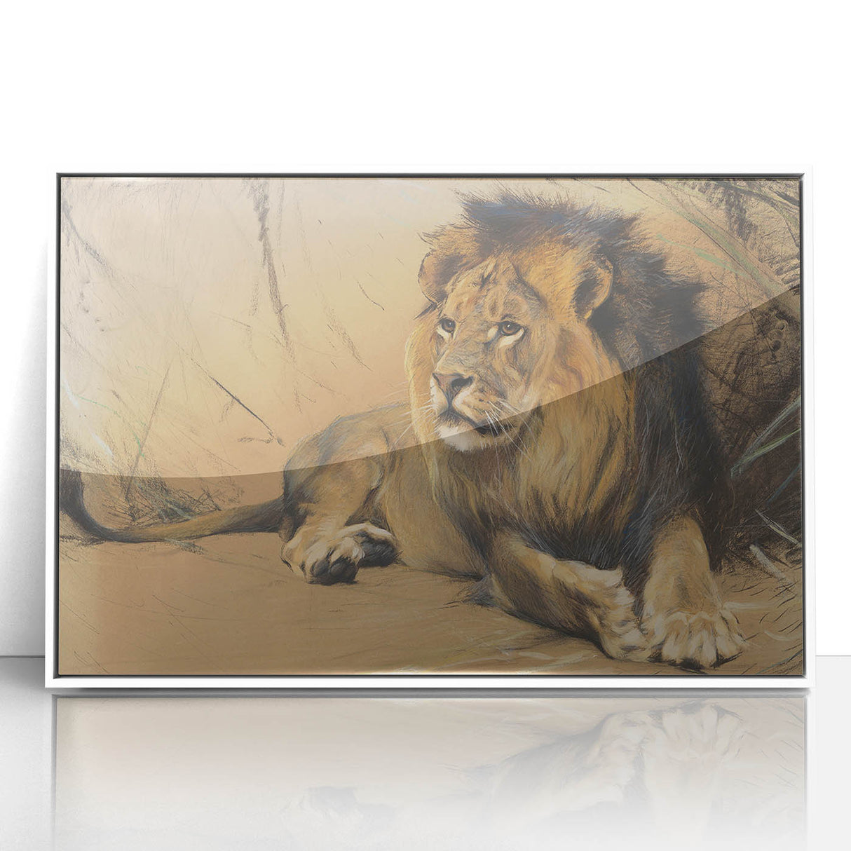 Vintage Animal Art - Resting Lion Pastel Wildlife Print