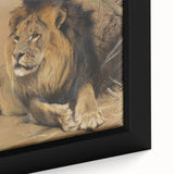 Vintage Animal Art - Resting Lion Pastel Wildlife Print