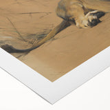 Vintage Animal Art - Resting Lion Pastel Wildlife Print