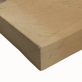 Vintage Animal Art - Resting Lion Pastel Wildlife Print