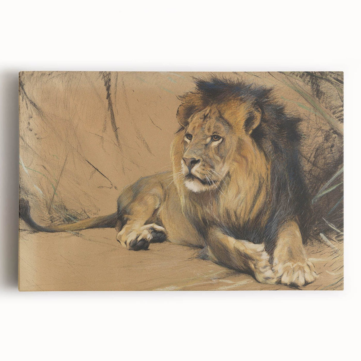 Vintage Animal Art - Resting Lion Pastel Wildlife Print