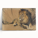 Vintage Animal Art - Resting Lion Pastel Wildlife Print