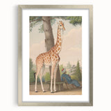 Vintage Animal Art - Giraffe in the Garden Antique Print