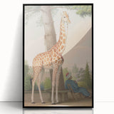 Vintage Animal Art - Giraffe in the Garden Antique Print
