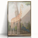 Vintage Animal Art - Giraffe in the Garden Antique Print
