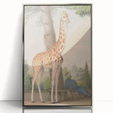 Vintage Animal Art - Giraffe in the Garden Antique Print