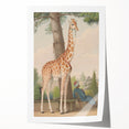 Vintage Animal Art - Giraffe in the Garden Antique Print