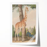 Vintage Animal Art - Giraffe in the Garden Antique Print