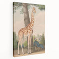 Vintage Animal Art - Giraffe in the Garden Antique Print