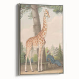 Vintage Animal Art - Giraffe in the Garden Antique Print