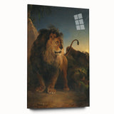 Vintage Animal Art - Majestic Lion at Dusk Antique Wildlife Print