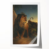 Vintage Animal Art - Majestic Lion at Dusk Antique Wildlife Print