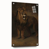 Vintage Animal Art - Fierce Lion Antique Wildlife Print