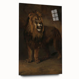 Vintage Animal Art - Fierce Lion Antique Wildlife Print