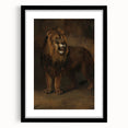 Vintage Animal Art - Fierce Lion Antique Wildlife Print