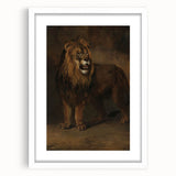 Vintage Animal Art - Fierce Lion Antique Wildlife Print