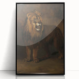 Vintage Animal Art - Fierce Lion Antique Wildlife Print