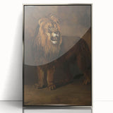 Vintage Animal Art - Fierce Lion Antique Wildlife Print